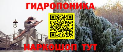 дурь Гусиноозёрск